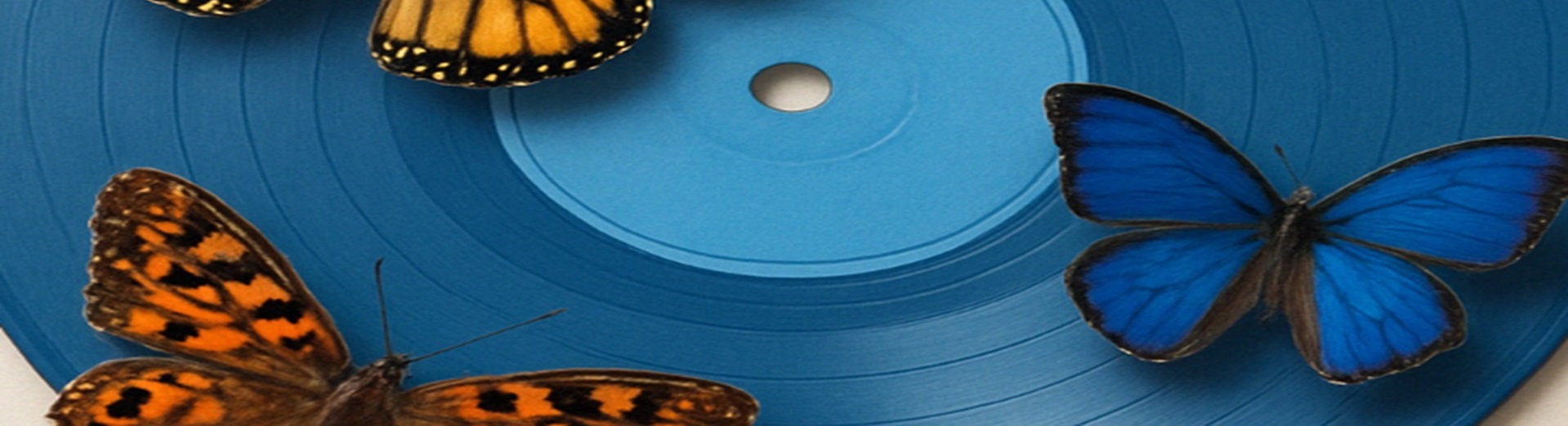 vinyl record with butterflies